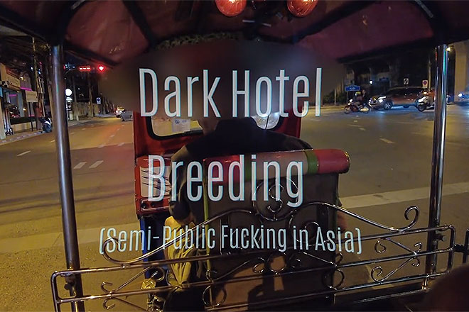 Dark Hotel Breeding Image